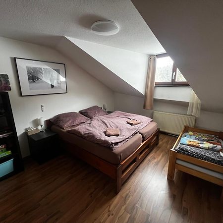 Family Apartment Sumava Байериш Айзенщайн Екстериор снимка