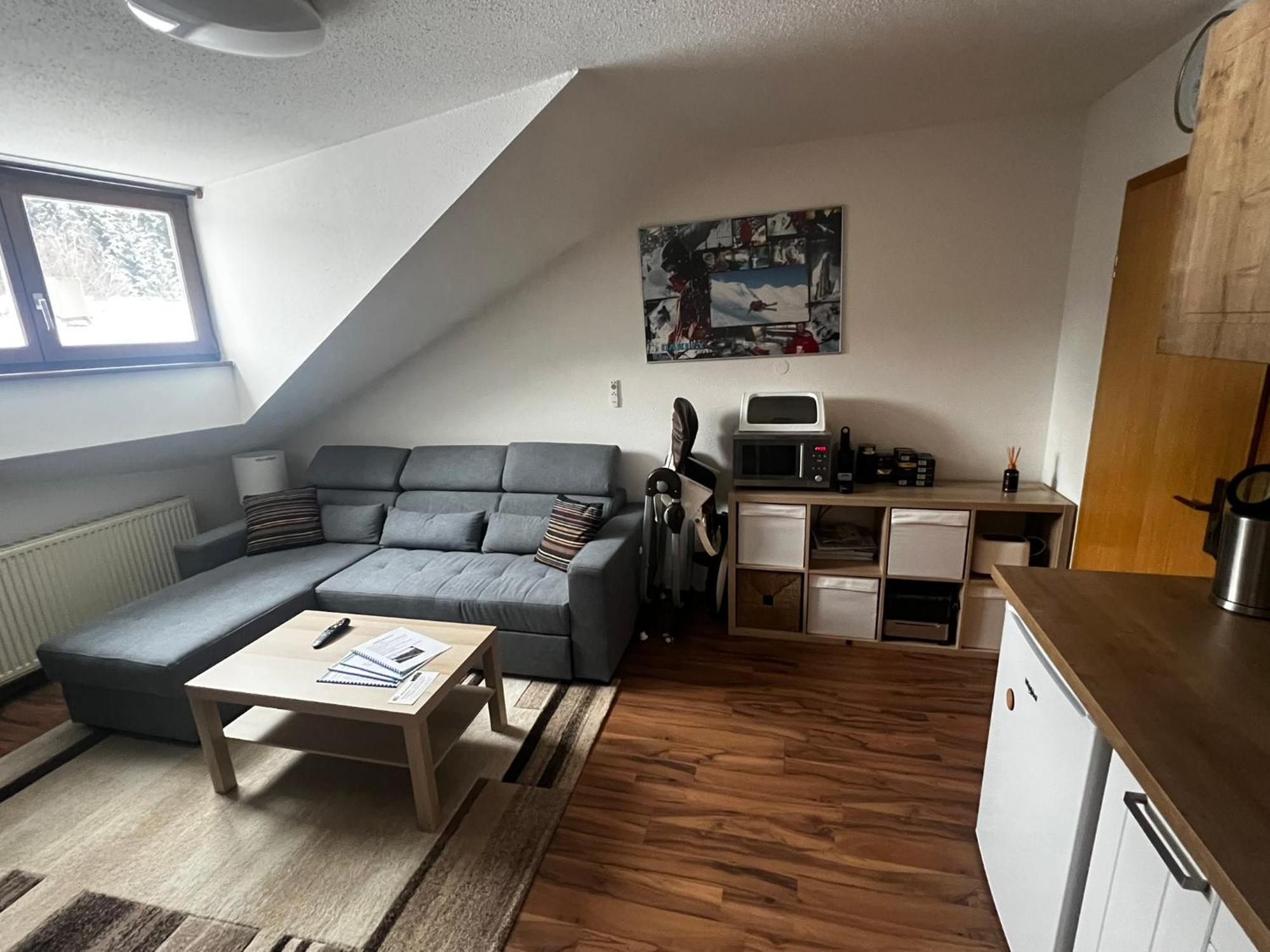 Family Apartment Sumava Байериш Айзенщайн Екстериор снимка