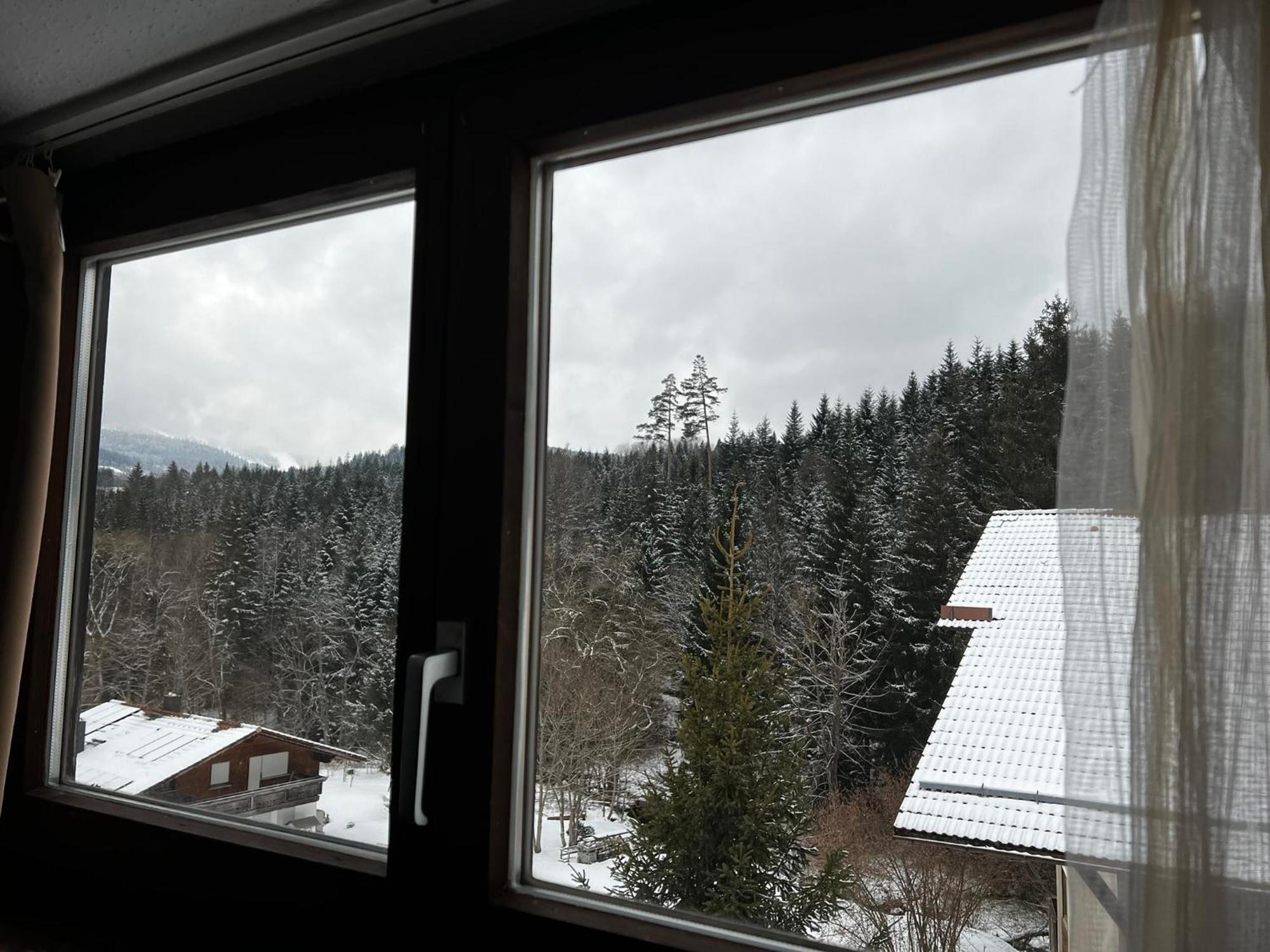 Family Apartment Sumava Байериш Айзенщайн Екстериор снимка