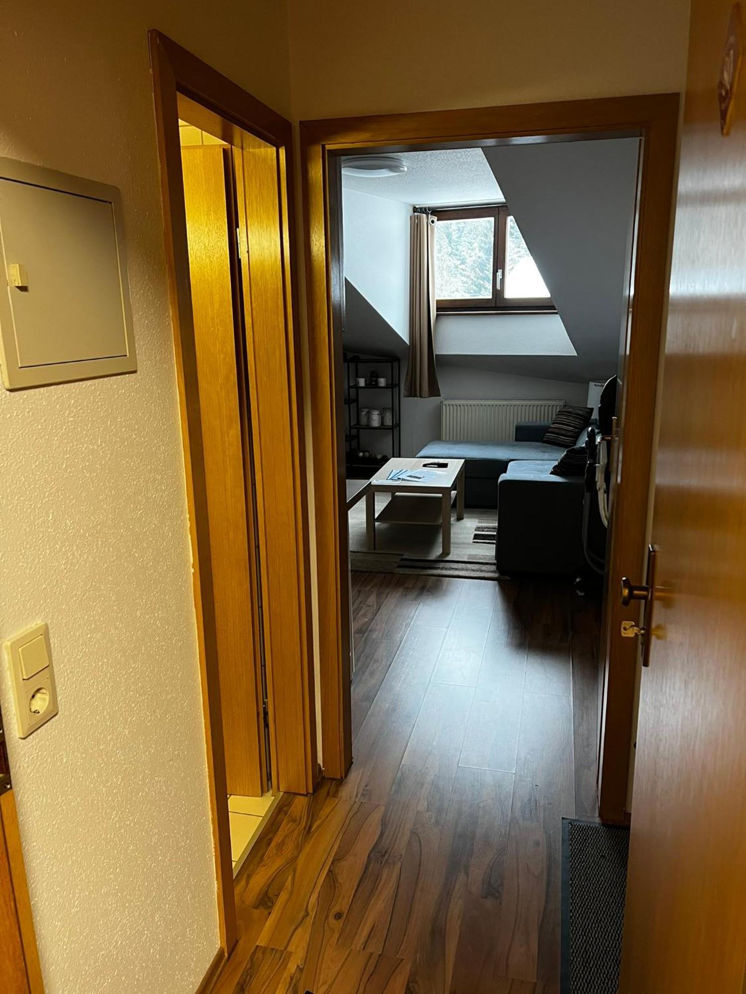 Family Apartment Sumava Байериш Айзенщайн Екстериор снимка